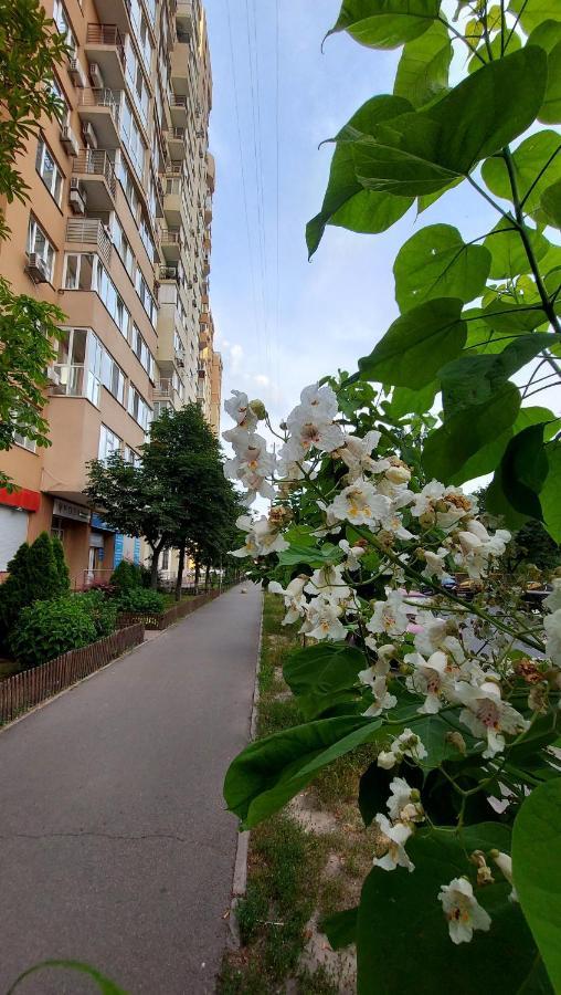 Просторі Апартаменти Kiev Eksteriør billede